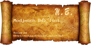 Modjesch Bálint névjegykártya
