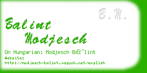 balint modjesch business card